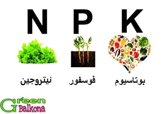 العلوم الصف الاول الاعدادى الترم الاول -  
