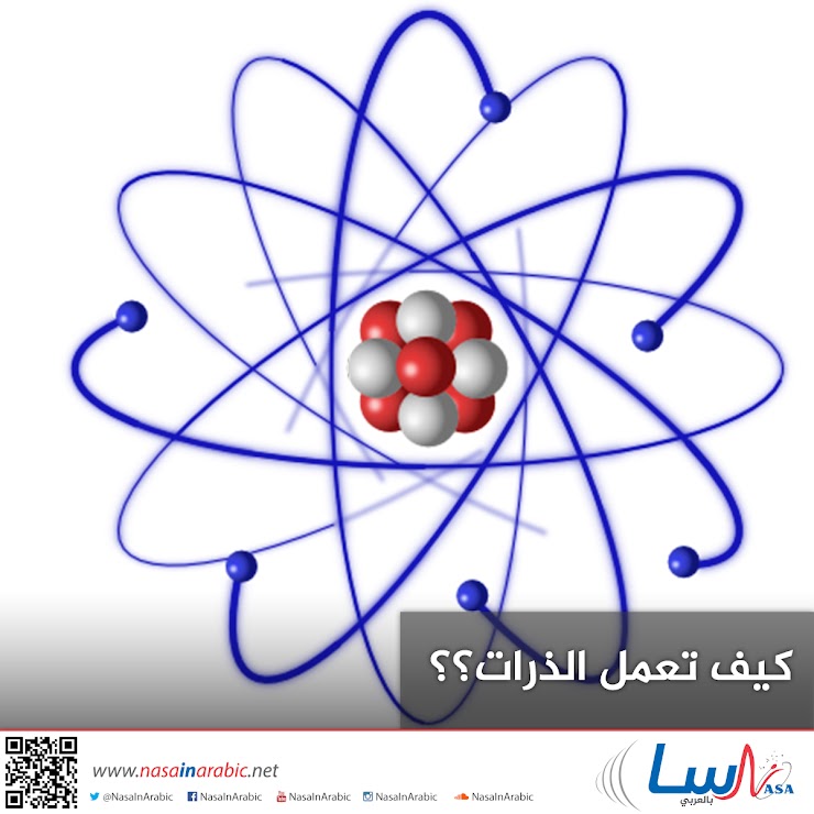 العلوم الصف الاول الاعدادى الترم الاول -  