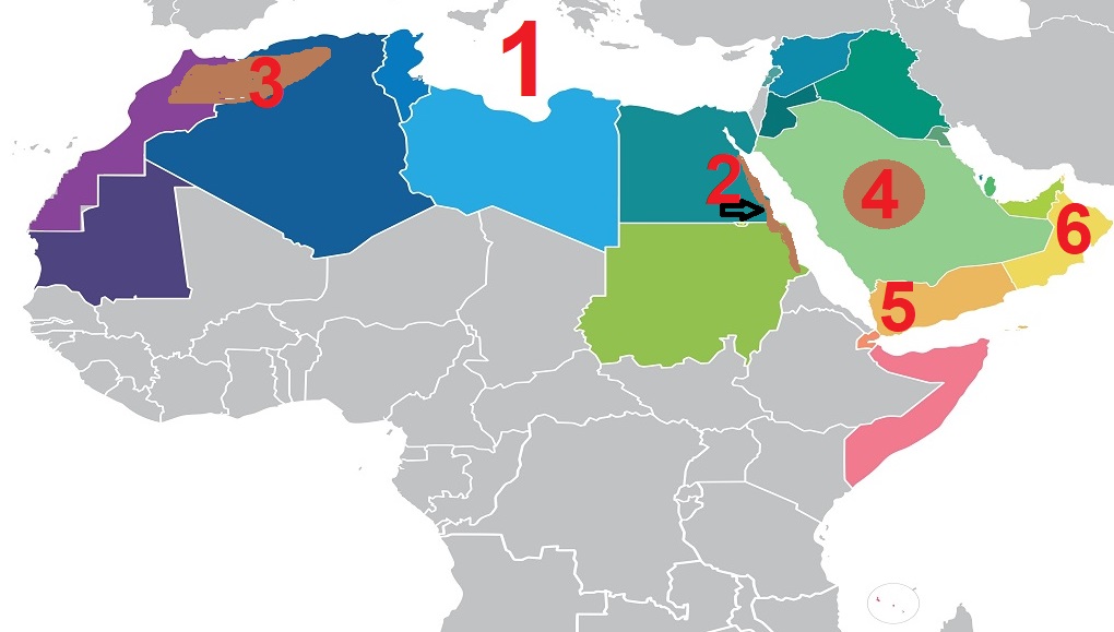 الدراسات الاجتماعية  الصف السادس الابتدائى الترم الاول -  