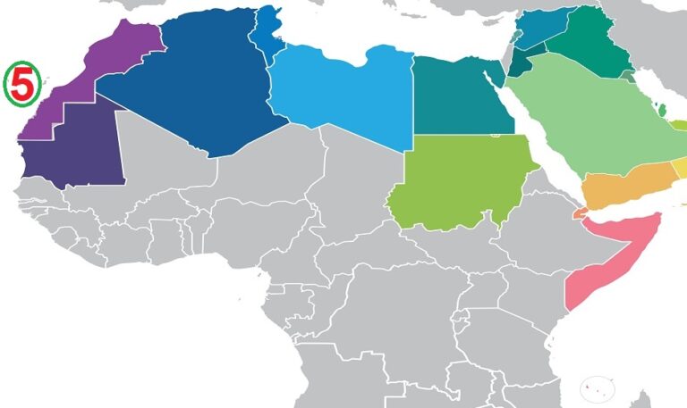 الدراسات الاجتماعية  الصف السادس الابتدائى الترم الاول -  