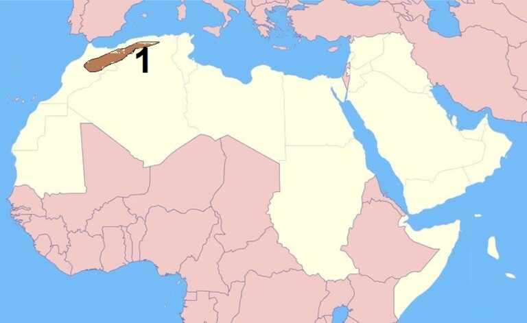 الدراسات الاجتماعية الصف الثانى الاعدادى الترم الاول -  