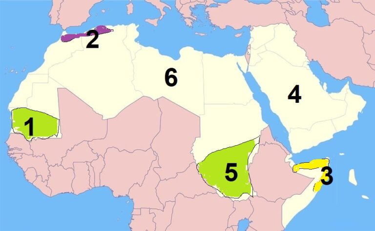 الدراسات الاجتماعية الصف الثانى الاعدادى الترم الاول -  