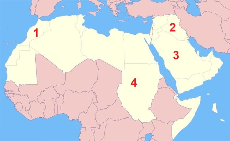 الدراسات الاجتماعية الصف الثانى الاعدادى الترم الاول -  