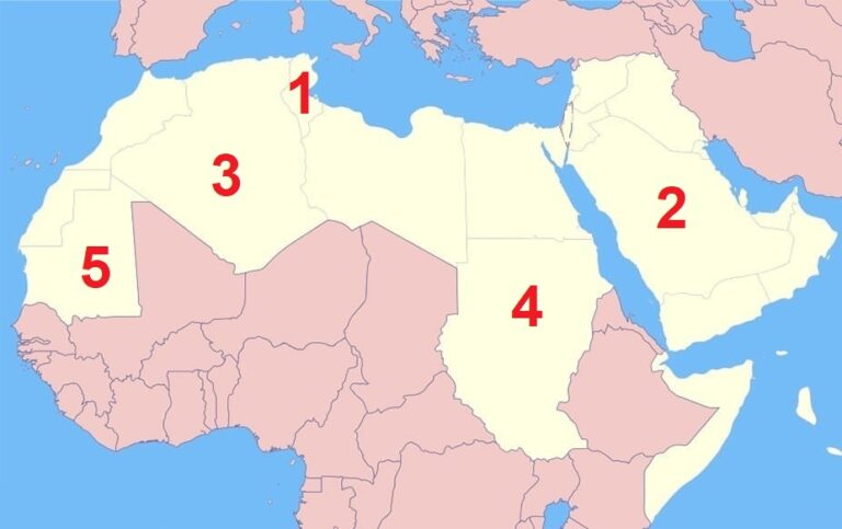 الدراسات الاجتماعية الصف الثانى الاعدادى الترم الاول -  