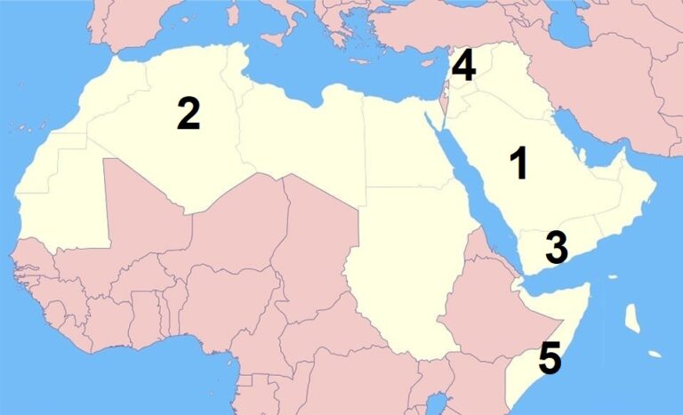 الدراسات الاجتماعية الصف الثانى الاعدادى الترم الاول -  