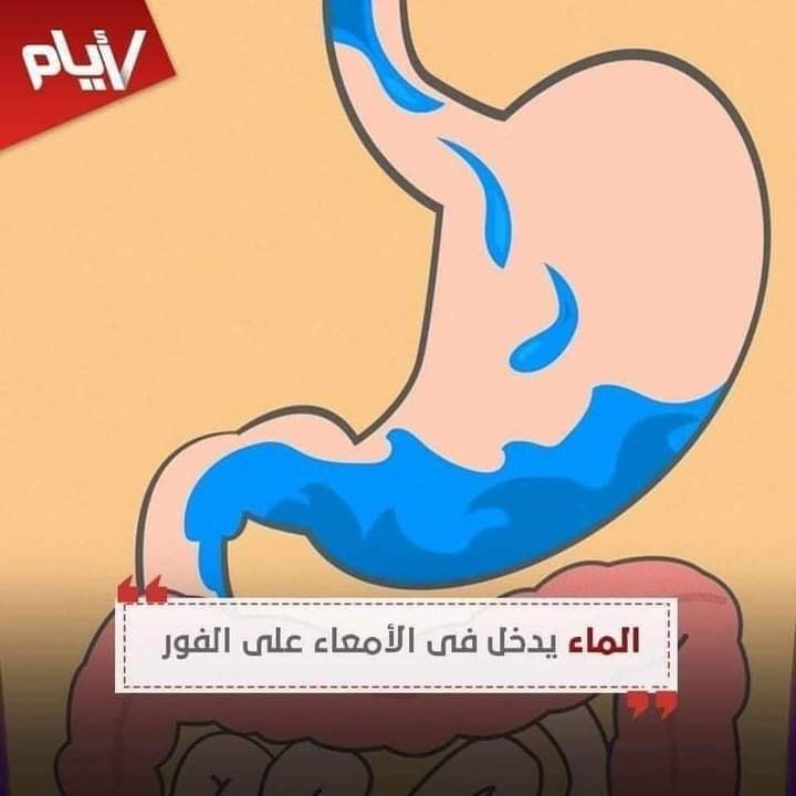 معلومات هامة جدا يجب أن تعلمها	 - هنا hana